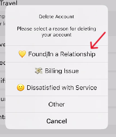 Bumble Delete Account - Step 14