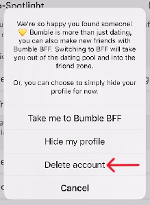 Bumble Delete Account - Step 15