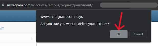 Instagram Delete Account - Step 14