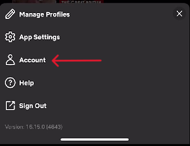 Netflix Delete Account - Step 11