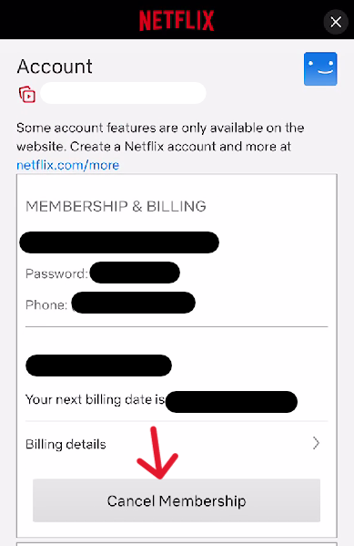 Netflix Delete Account - Step 13