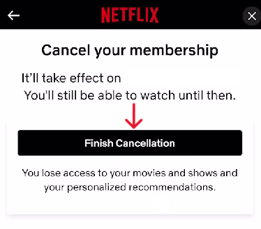 Netflix Delete Account - Step 14