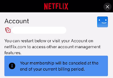 Netflix Delete Account - Step 16