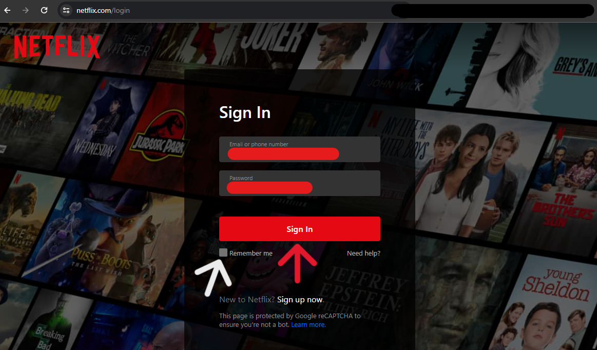 Netflix Delete Account - Step 3