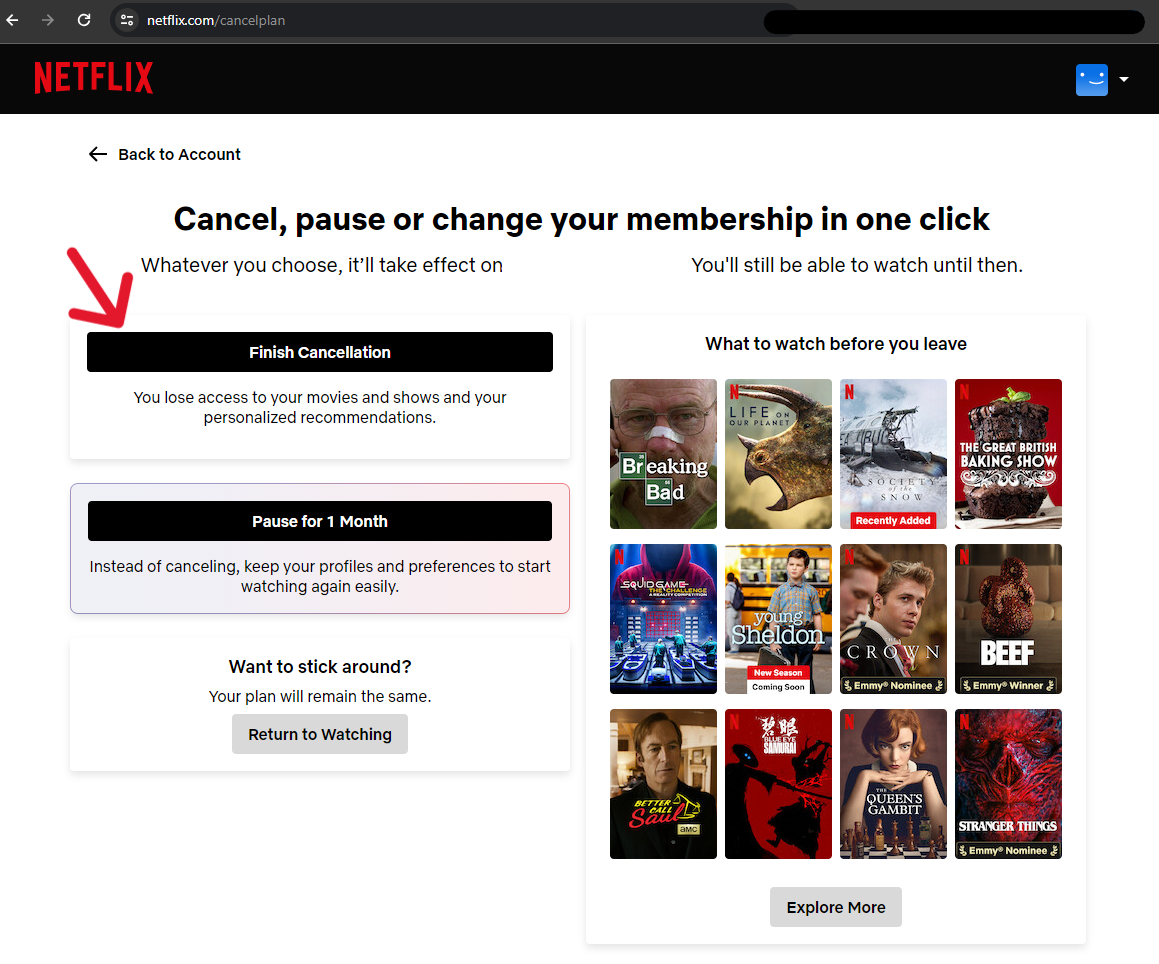 Netflix Delete Account - Step 4