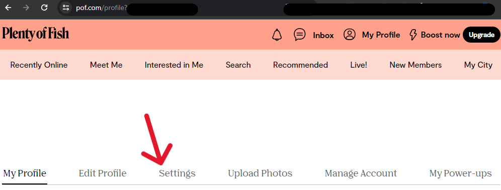 Plenty of Fish Delete Account - Step 14