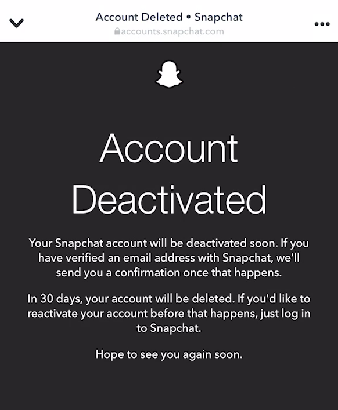 Snapchat Delete Account - Step 5