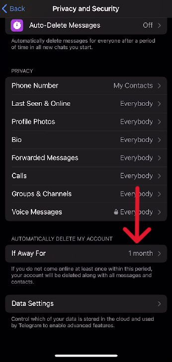 Telegram Delete Account - Step 13
