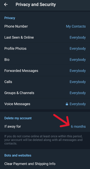 Telegram Delete Account - Step 2