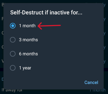 Telegram Delete Account - Step 4