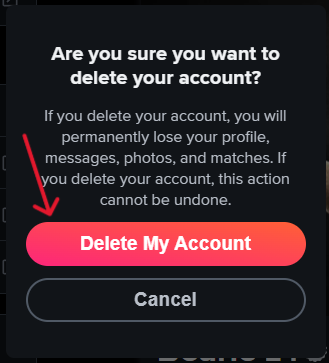 Tinder Delete Account - Step 6